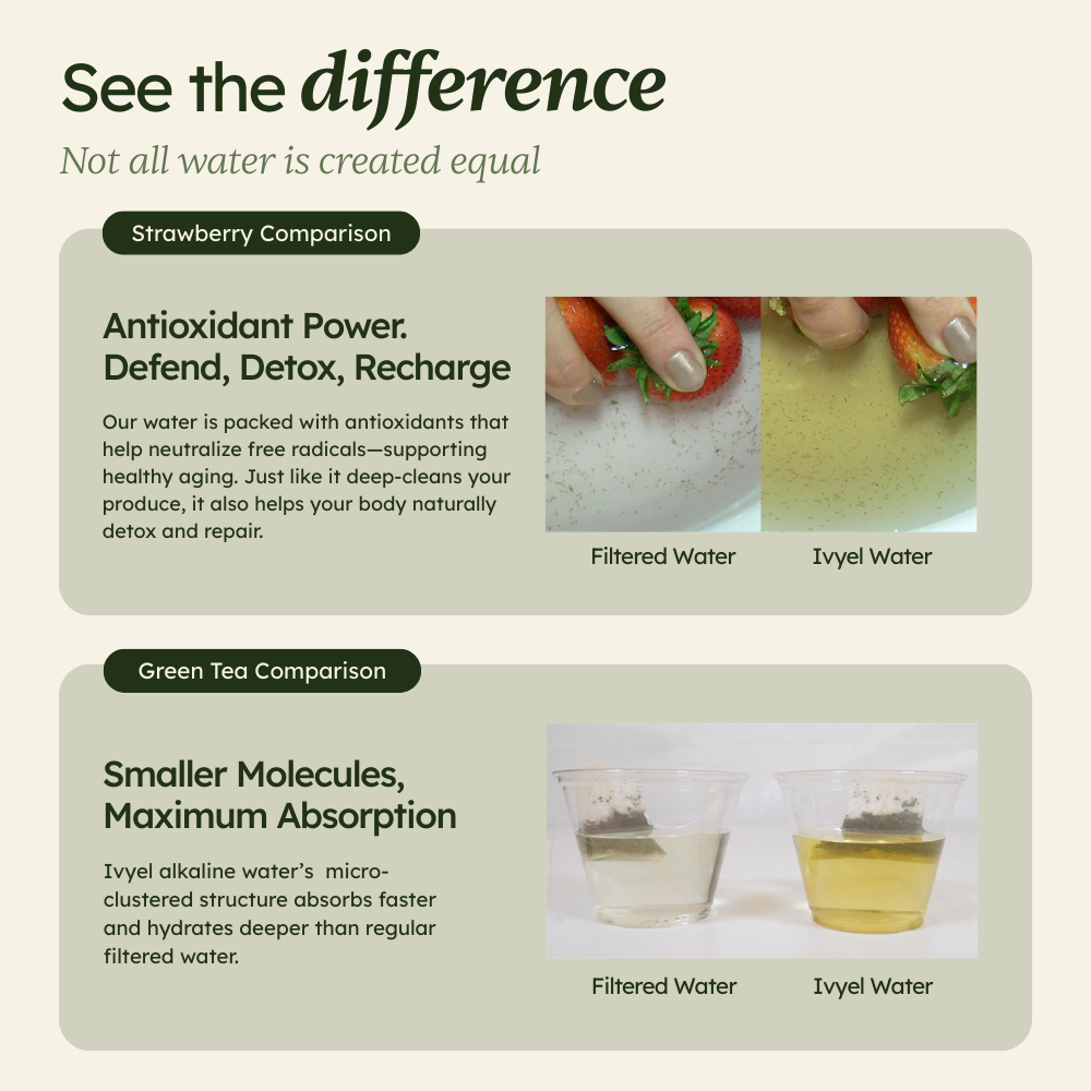 PL-MAX Alkaline Water Ionizer