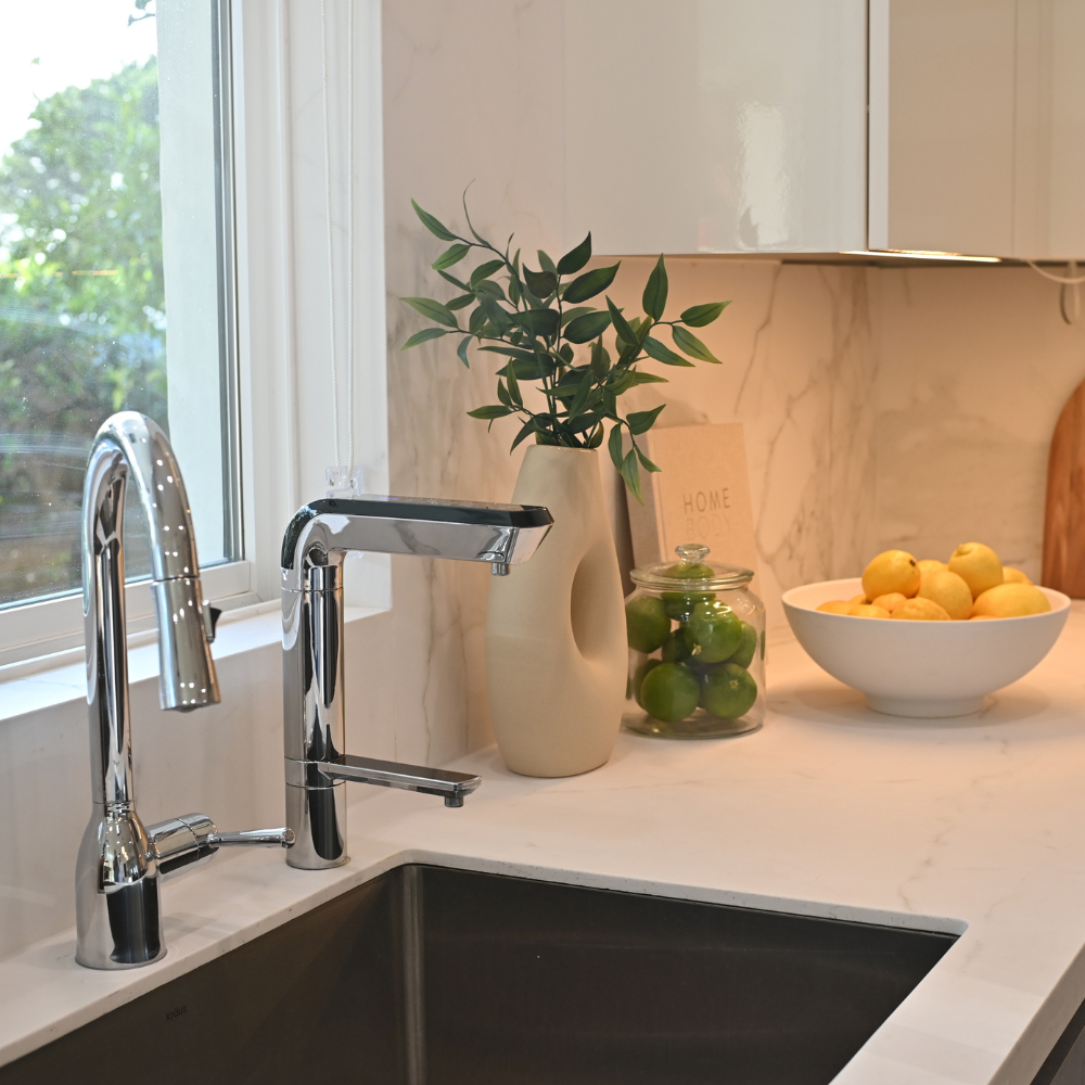 PL-MAX Alkaline Water Ionizer