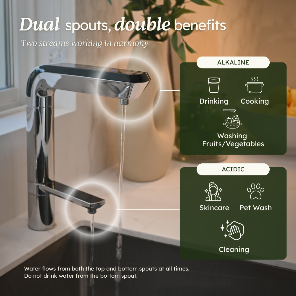 PL-MAX Alkaline Water Ionizer